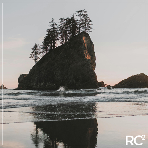 Washington State Coastline with trees